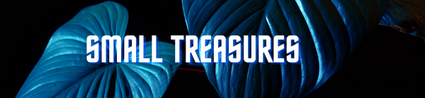 Small treasures